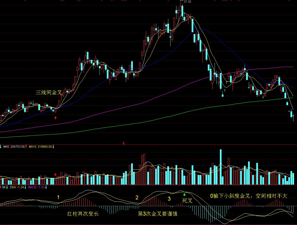 梅州海关供港澳活猪远程检疫监装模式正式启动